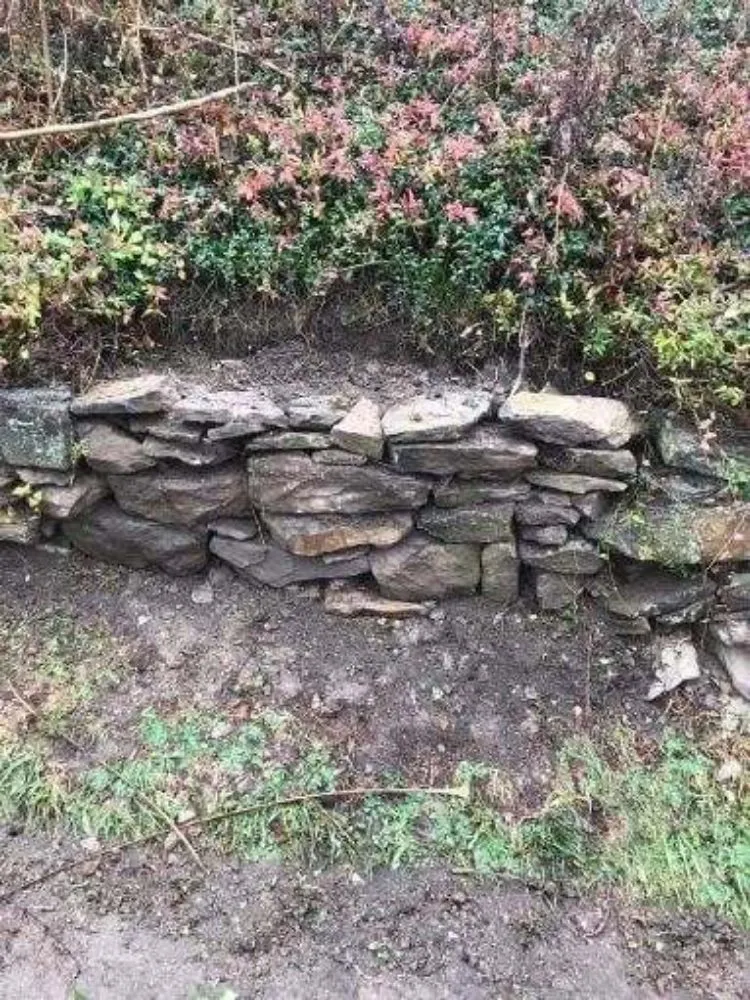 Affordable yard cleanup service for beautiful yards in Pittsburgh, PA by D & H Landscaping & Demolition Clean Outs