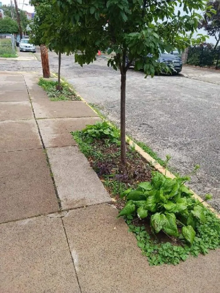 Affordable garden landscaping experts serving Pittsburgh, PA - D & H Landscaping & Demolition Clean Outs