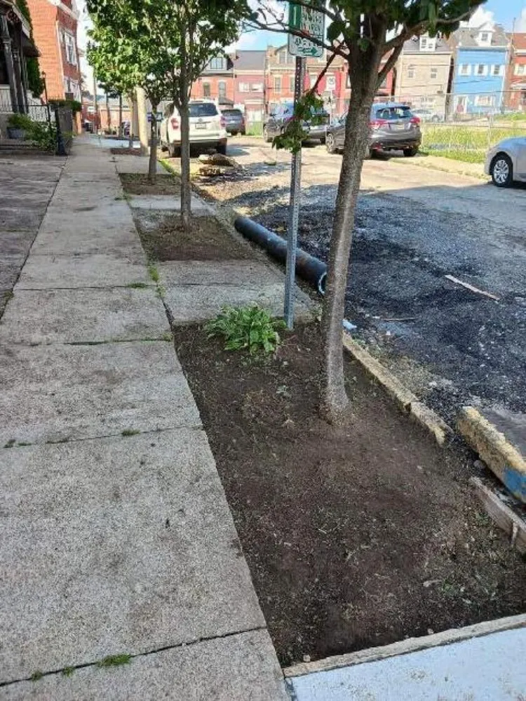 Reliable garden landscaping for beautiful yards in Pittsburgh, PA by D & H Landscaping & Demolition Clean Outs