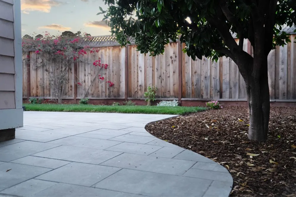 Local yard maintenance in San Jose, CA - D & I Landscape