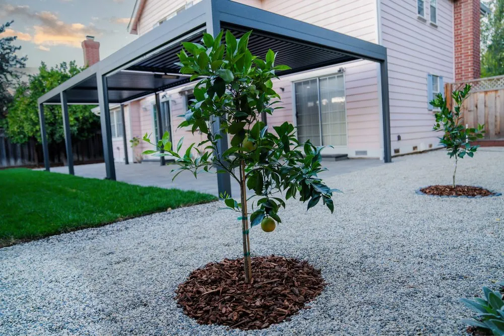 Top-rated lawn mowing service in San Jose, CA - D & I Landscape