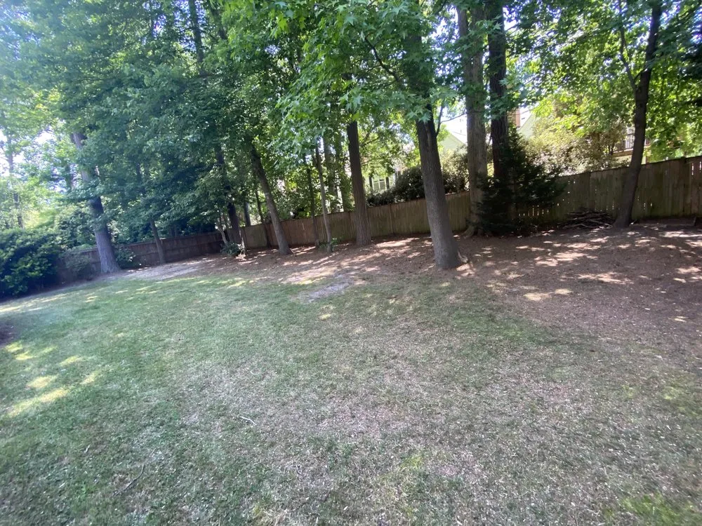 Trusted lawn care service for outdoor upgrades in Newport News, VA by D & I Landscaping