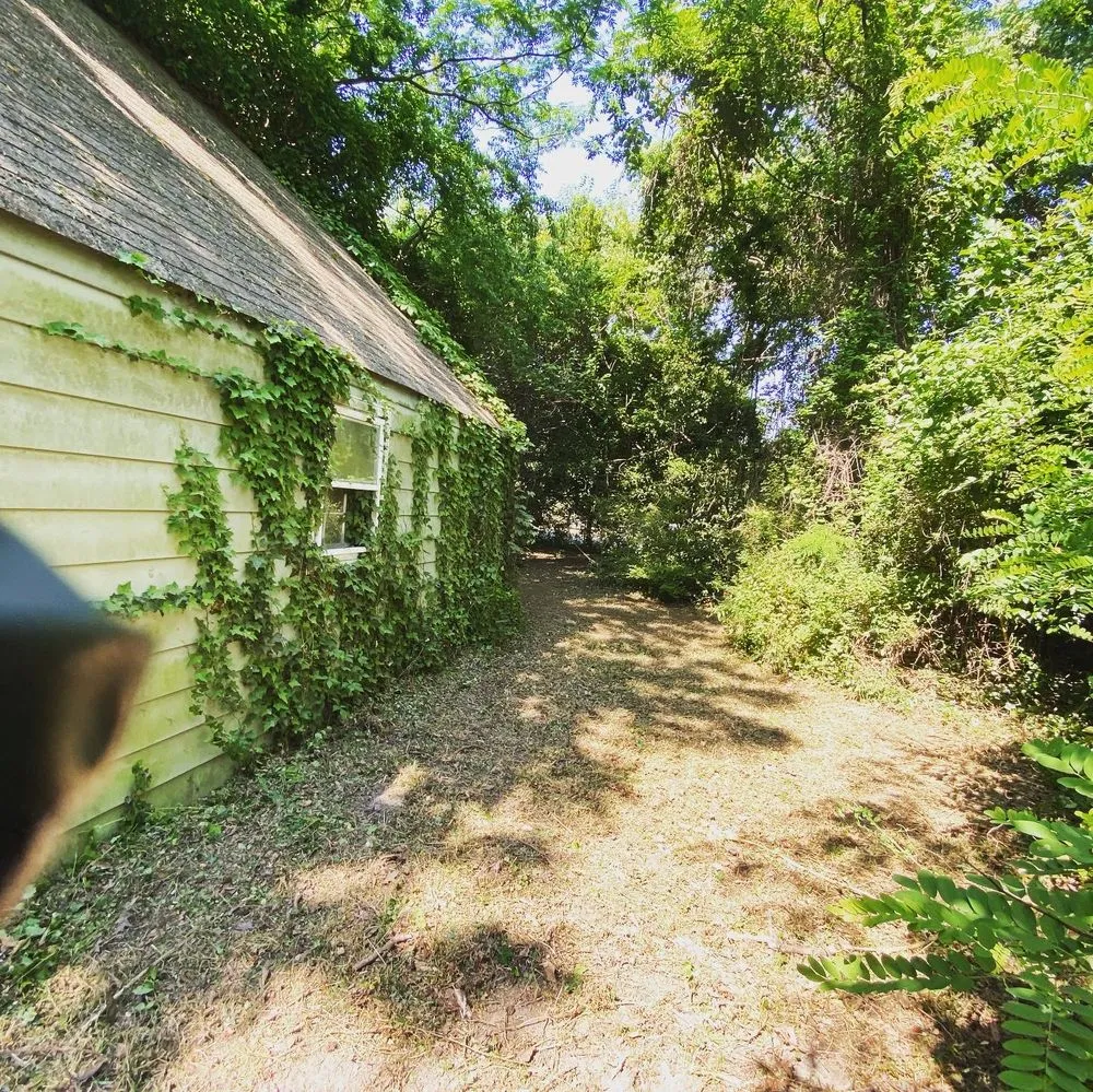 Affordable lawn care service experts serving Newport News, VA - D & I Landscaping