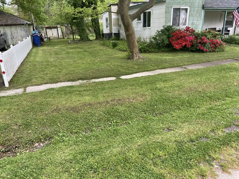 Top-rated lawn care service for beautiful yards across Newport News, VA - D & I Landscaping