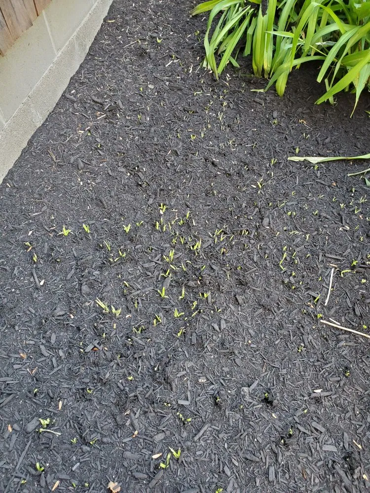 Top-rated landscaping services for homes in Wareham, MA by D & J Enterprise