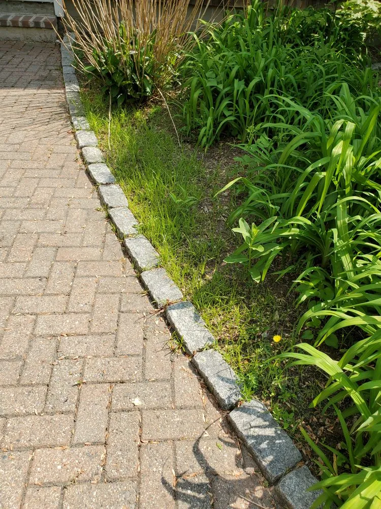 Custom yard cleanup service for year-round maintenance across Wareham, MA - D & J Enterprise