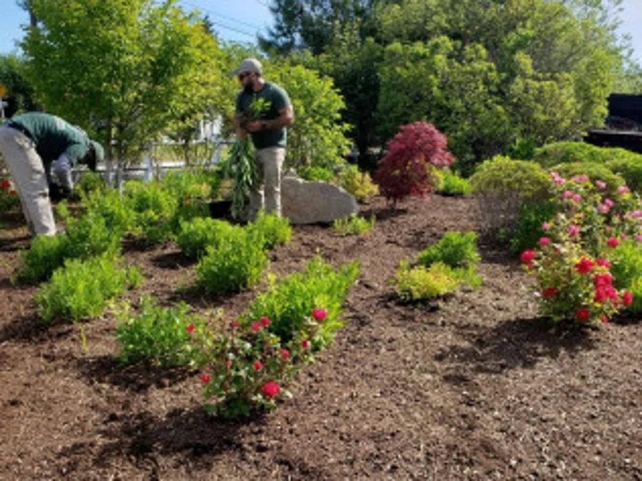 Professional landscape design experts serving Wareham, MA - D & J Enterprise
