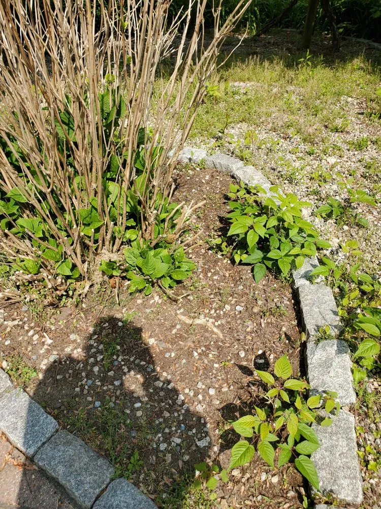 Affordable landscape design in Wareham, MA by D & J Enterprise