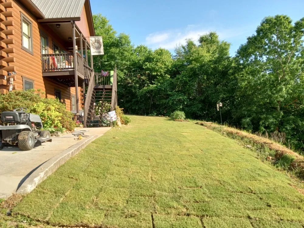 Professional landscape design in Bridgeport, AL - D & J Helping Hands