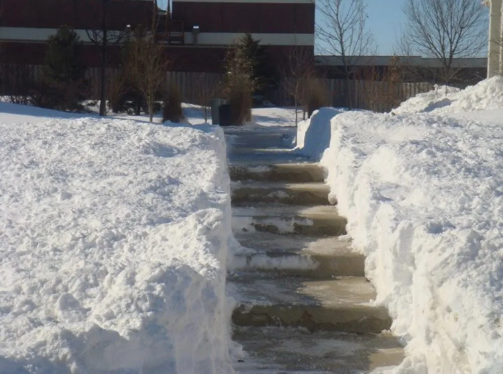 Professional landscaping services for beautiful yards across Shorewood, IL - D & J Landscape