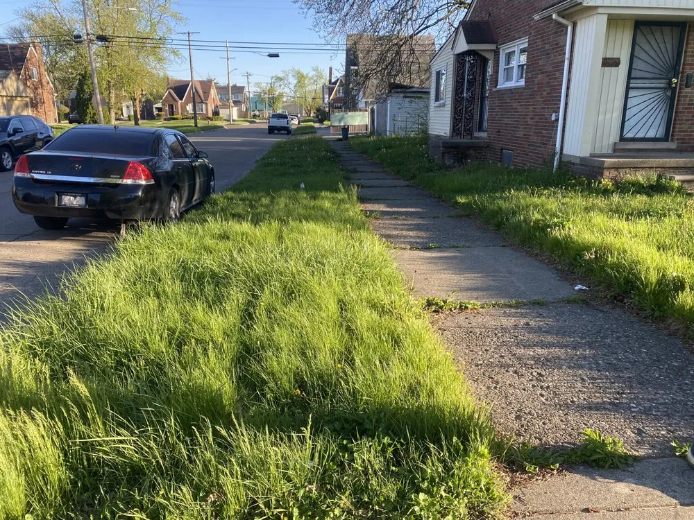 Professional lawn care service in Madison Heights, MI by D & J Landscaping