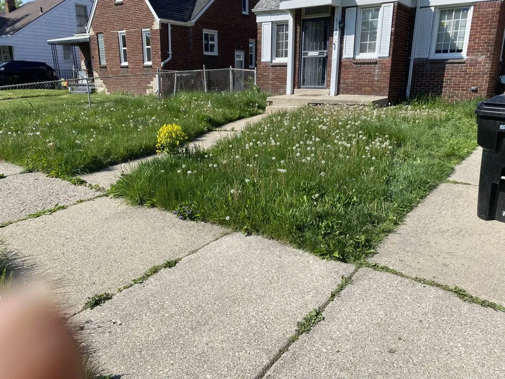 Affordable yard cleanup service near you in Madison Heights, MI by D & J Landscaping