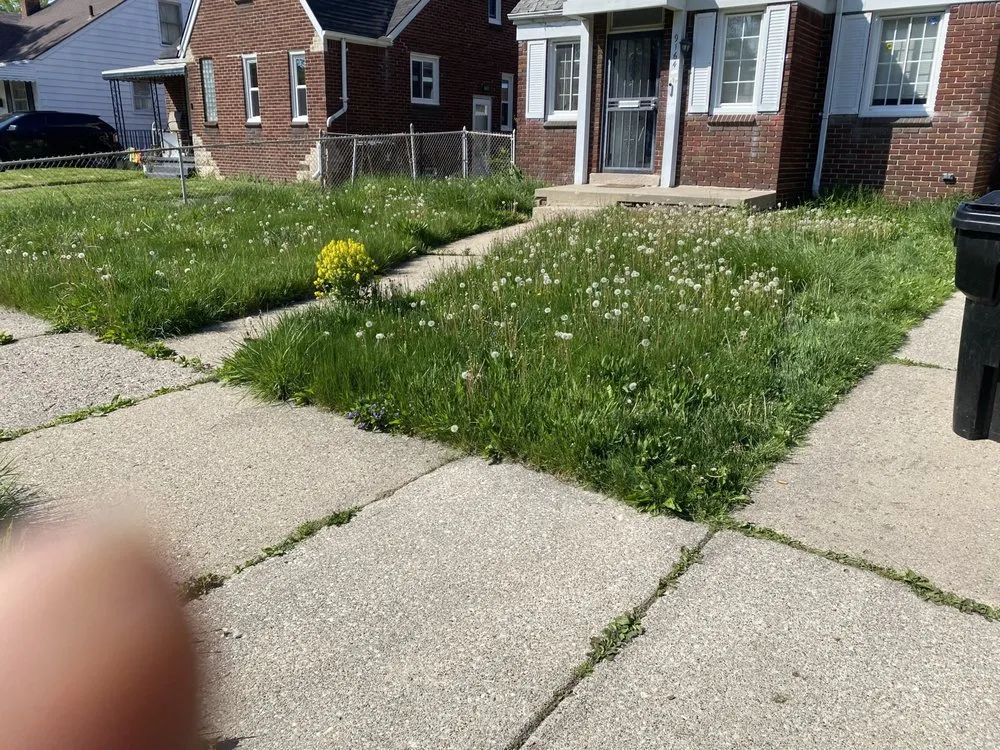 Trusted landscape installation for residential properties in Madison Heights, MI by D & J Landscaping