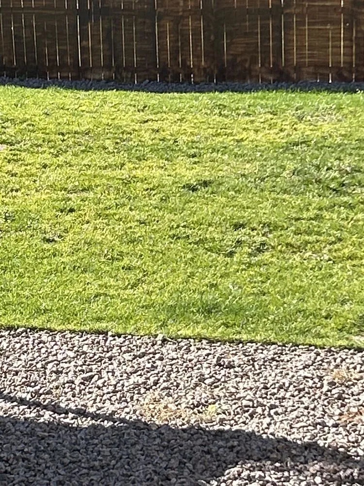 Top-rated landscape design experts serving Colorado Springs, CO - D & J Lawn Care Services