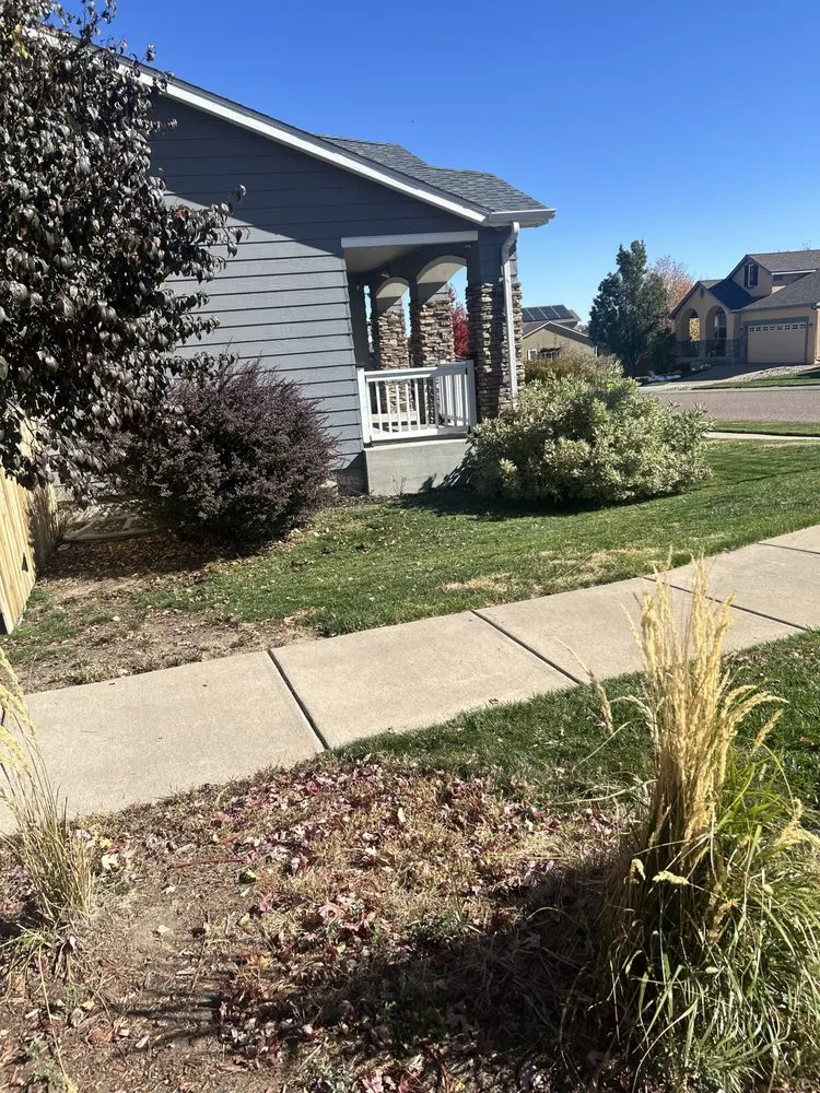Local yard cleanup service experts serving Colorado Springs, CO - D & J Lawn Care Services