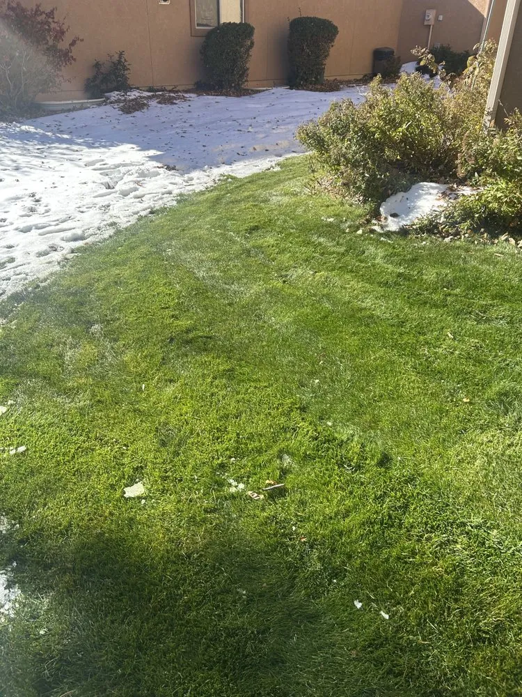 Local lawn care service experts serving Colorado Springs, CO - D & J Lawn Care Services