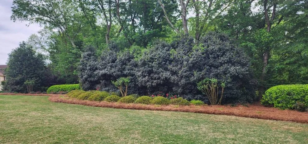 Top-rated landscape installation experts serving Atlanta, GA - D & J Pinestraw