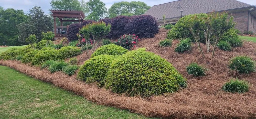 Top-rated outdoor landscaping in Atlanta, GA by D & J Pinestraw