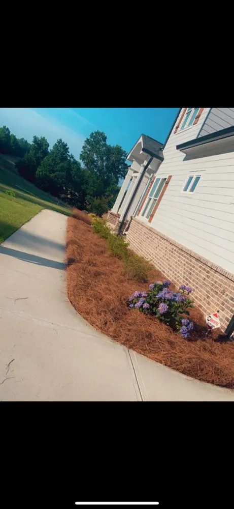 Affordable lawn care service experts serving Atlanta, GA - D & J Pinestraw