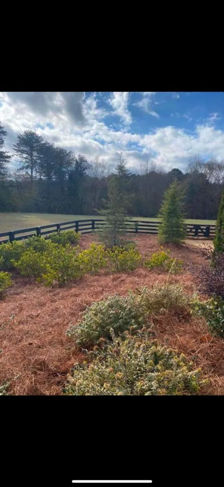 Local landscape design for beautiful yards across Atlanta, GA - D & J Pinestraw
