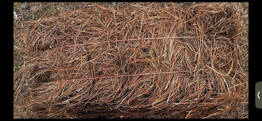 Trusted residential landscaping for beautiful yards across Atlanta, GA - D & J Pinestraw