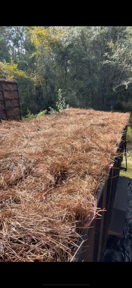 Affordable outdoor landscaping for outdoor upgrades in Atlanta, GA by D & J Pinestraw