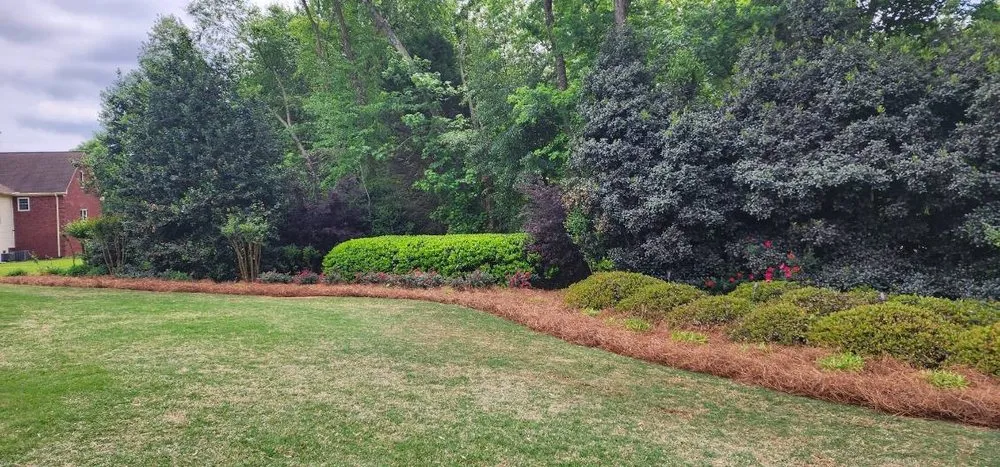 Custom landscape design experts serving Atlanta, GA - D & J Pinestraw