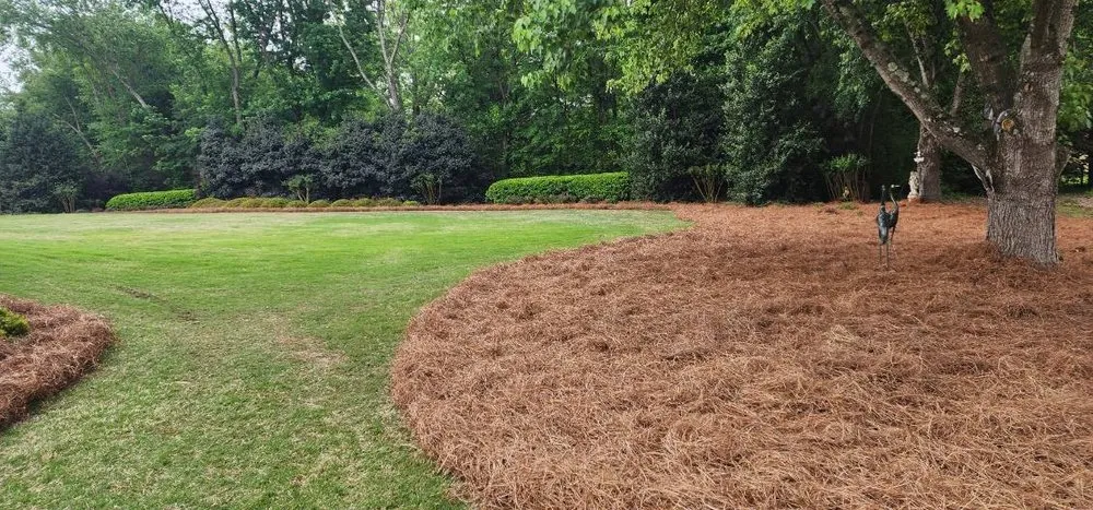 Top-rated residential landscaping in Atlanta, GA - D & J Pinestraw