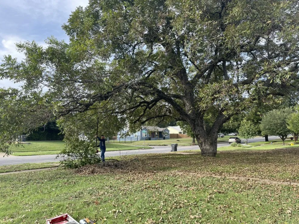 Professional landscaping services for beautiful yards in Waco, TX by D & J Professional Tree Service