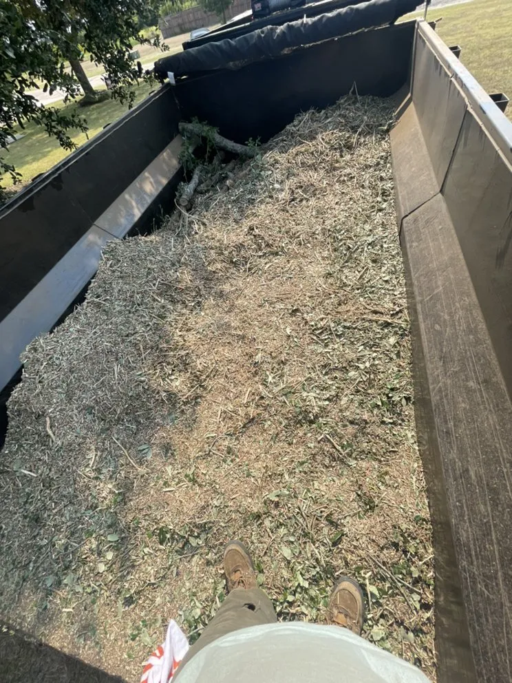 Affordable outdoor landscaping experts serving Waco, TX - D & J Professional Tree Service