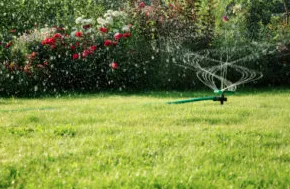 Trusted outdoor landscaping in Frisco, TX - D & J Tigers Lawncare & Landscape