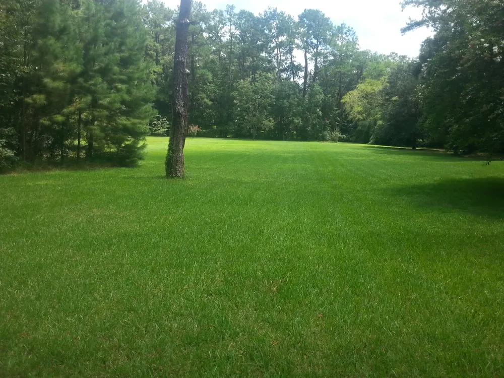 Expert lawn mowing service in Waldo, FL - D & J's a Cut Above Lawn Service