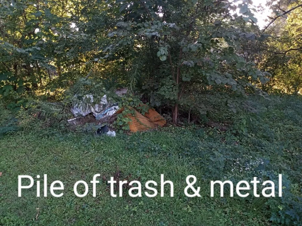 Expert lawn mowing service in Wilmar, AR - D & K 4 Seasons Lawn and Garden Solutions