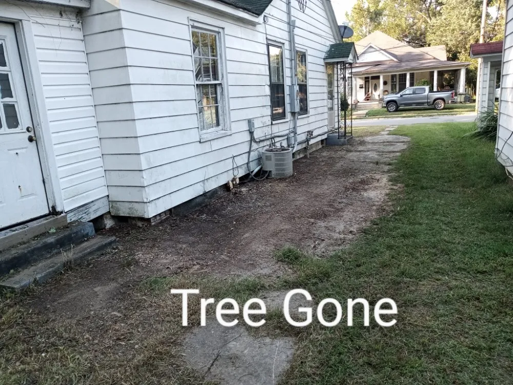 Custom yard maintenance in Wilmar, AR by D & K 4 Seasons Lawn and Garden Solutions