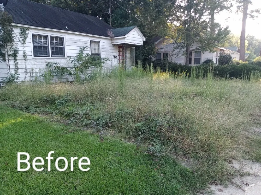 Trusted yard cleanup service in Wilmar, AR - D & K 4 Seasons Lawn and Garden Solutions