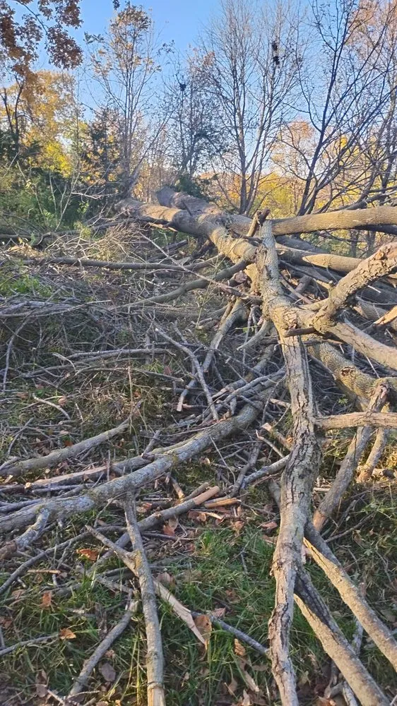 Local landscape design for beautiful yards across Anamosa, IA - D & K Lawn Care & Enterprises