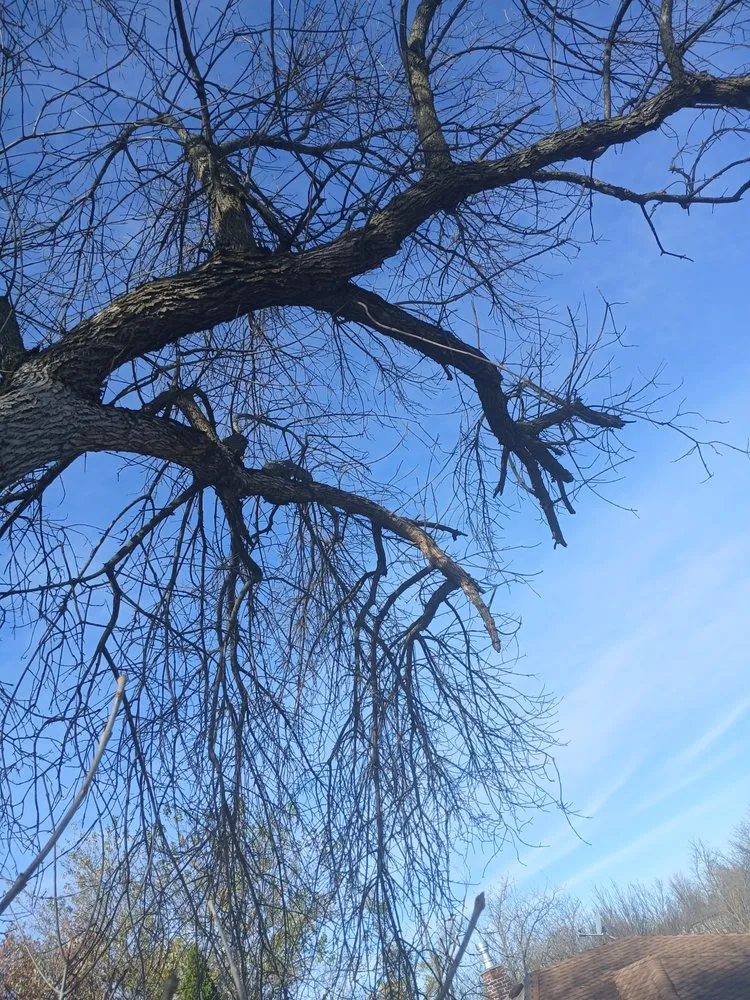 Local outdoor landscaping with custom design across Anamosa, IA - D & K Lawn Care & Enterprises