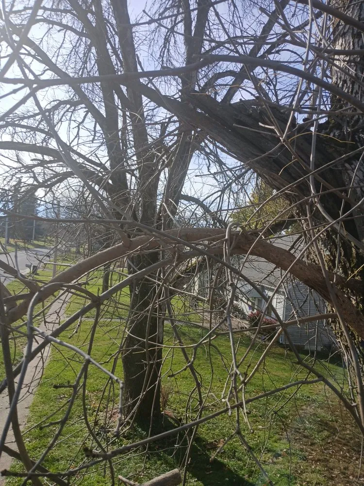 Reliable garden landscaping in Anamosa, IA - D & K Lawn Care & Enterprises