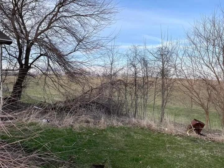 Local landscape design in Anamosa, IA - D & K Lawn Care & Enterprises