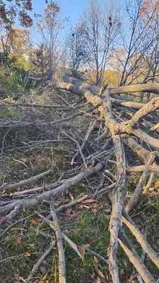 D & K Lawn Care & Enterprises