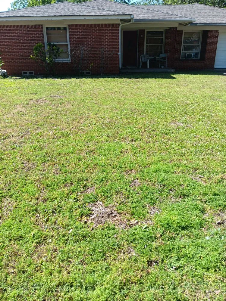 Affordable lawn care service in Sherman, TX by D & l Landscaping