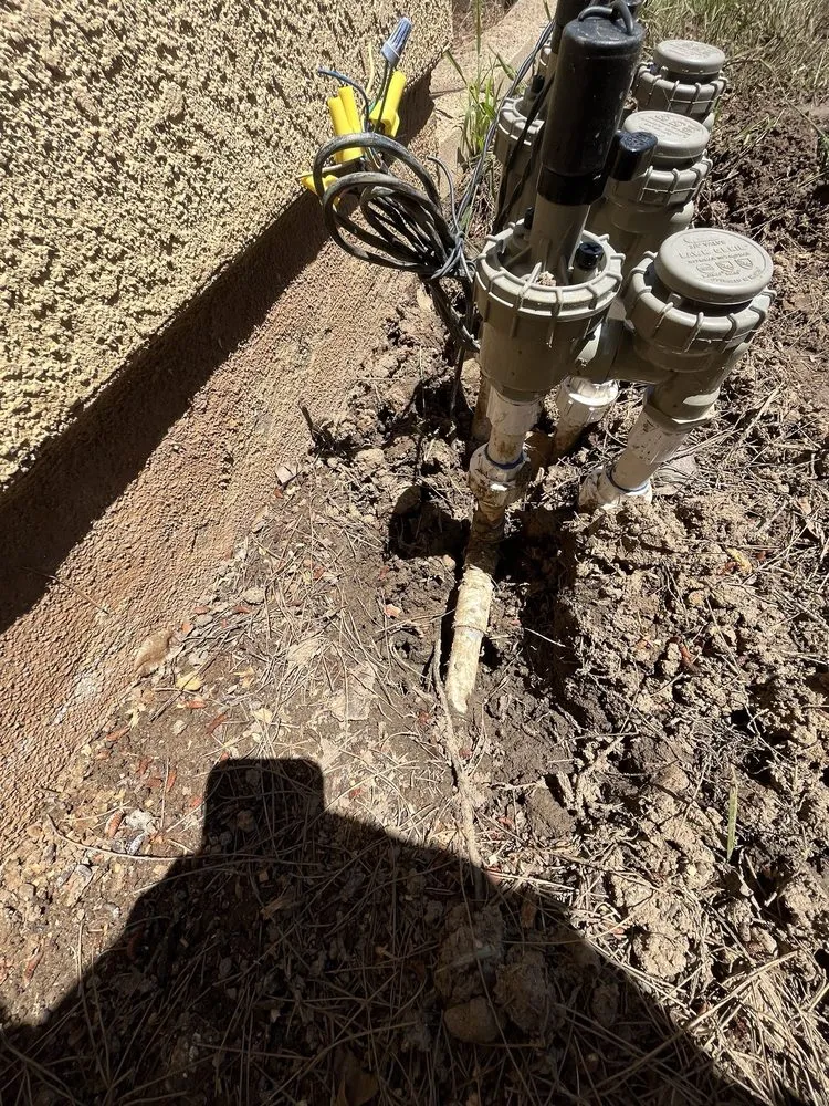 Professional lawn care service in Anza, CA by D & L Tree Service & Landscaping