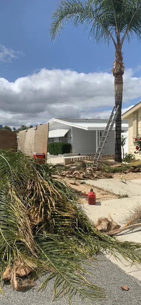 Expert lawn mowing service near you across Anza, CA - D & L Tree Service & Landscaping