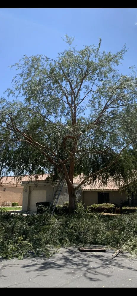 Local landscaping services near you across Anza, CA - D & L Tree Service & Landscaping