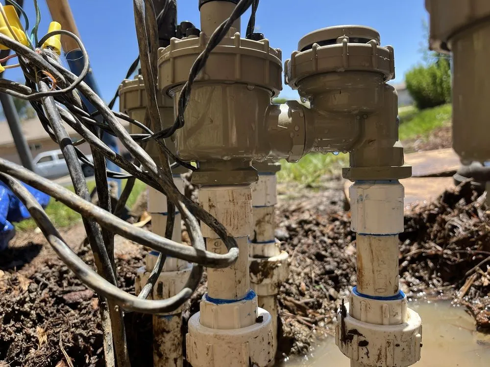 Professional yard cleanup service experts serving Anza, CA - D & L Tree Service & Landscaping