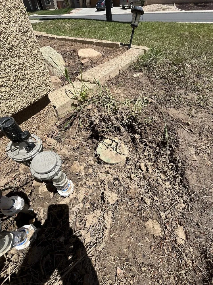 Reliable landscape installation for outdoor upgrades in Anza, CA by D & L Tree Service & Landscaping