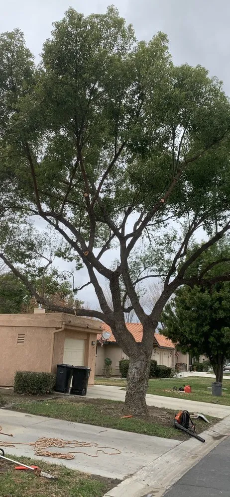 Reliable landscape installation experts serving Anza, CA - D & L Tree Service & Landscaping