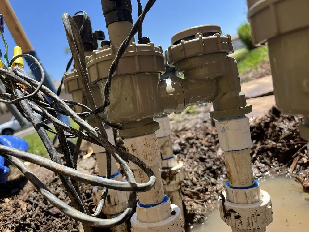 Expert landscape installation for homes across Anza, CA - D & L Tree Service & Landscaping