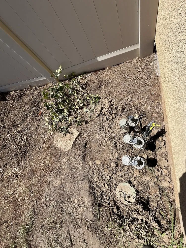 Local yard maintenance experts serving Anza, CA - D & L Tree Service & Landscaping