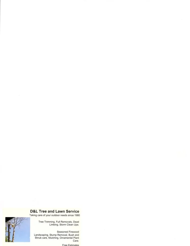 Expert landscaping services in Fairview Heights, IL - D & L Tree Service